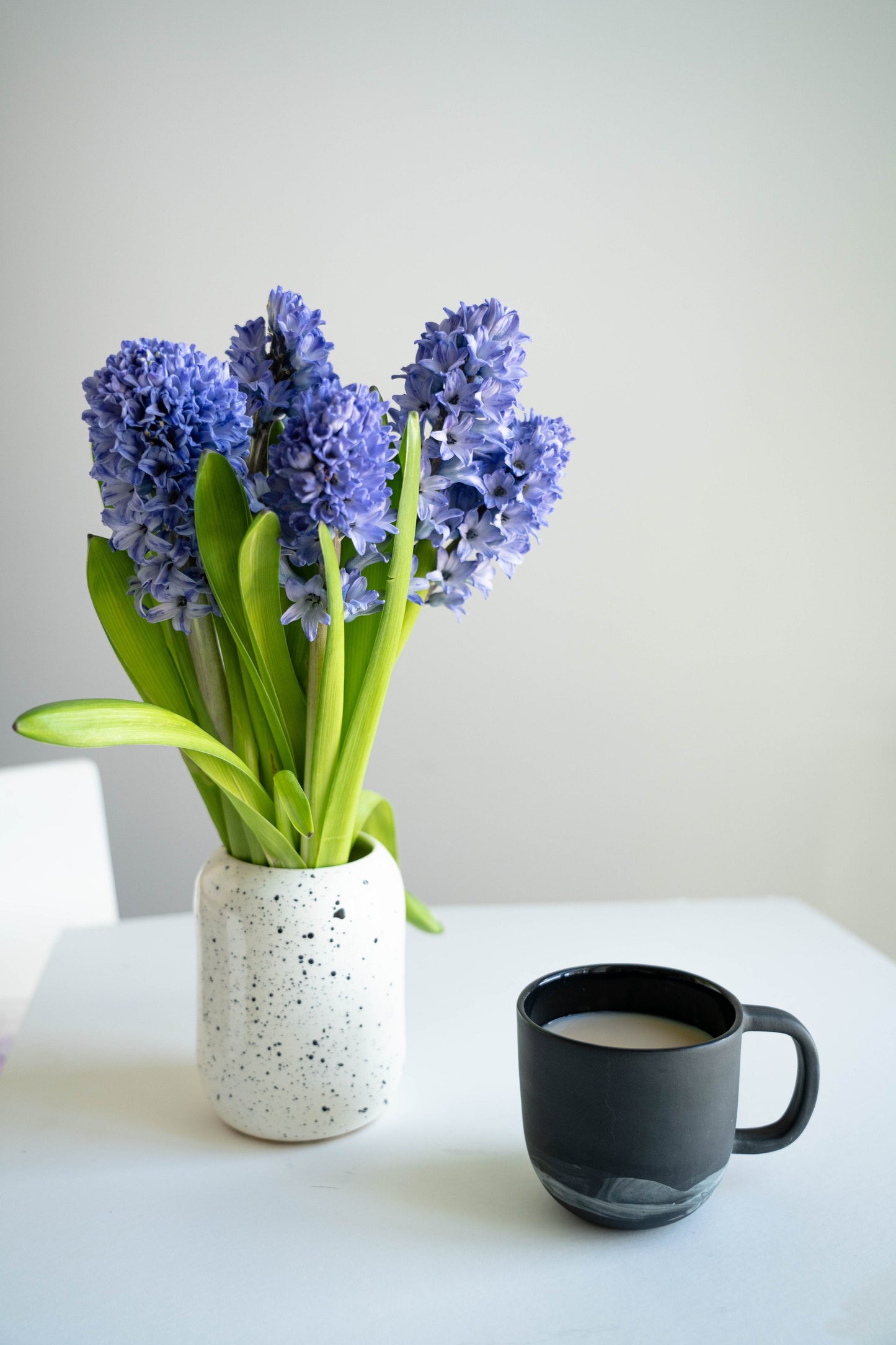 Iceland Porcelain Coffee Mug